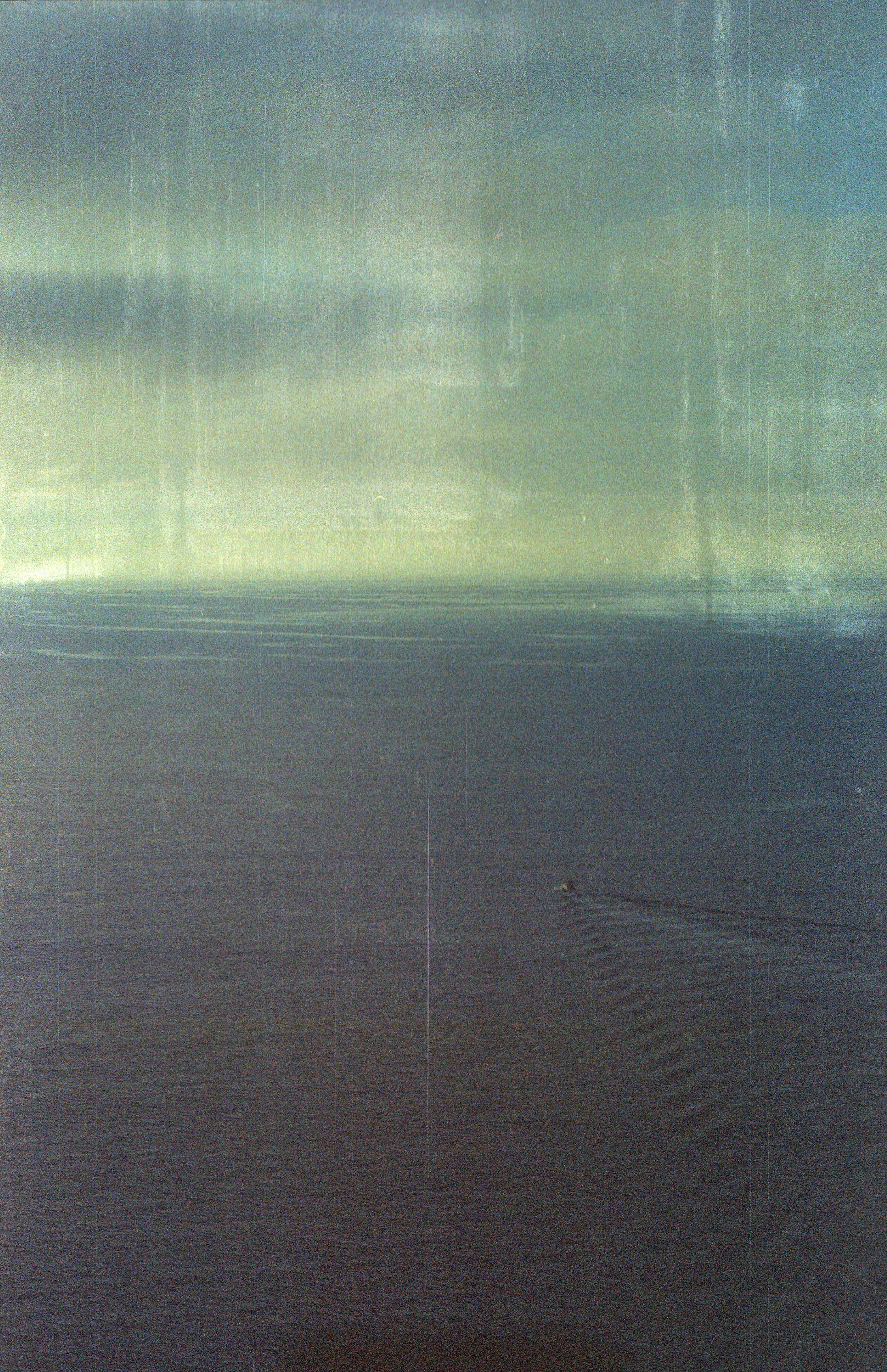 Santa Cruz Island (2024)